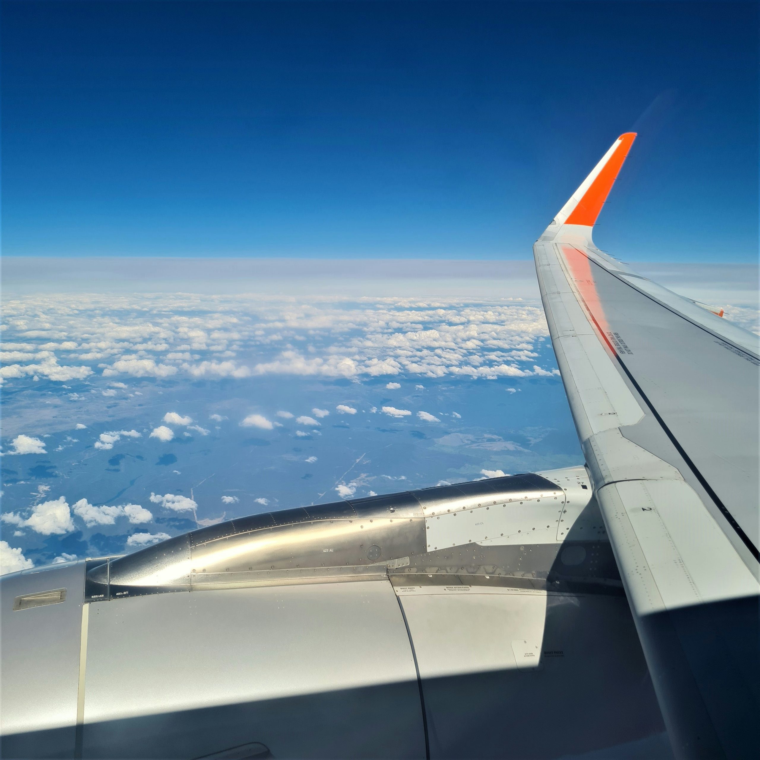 Business travel risk management