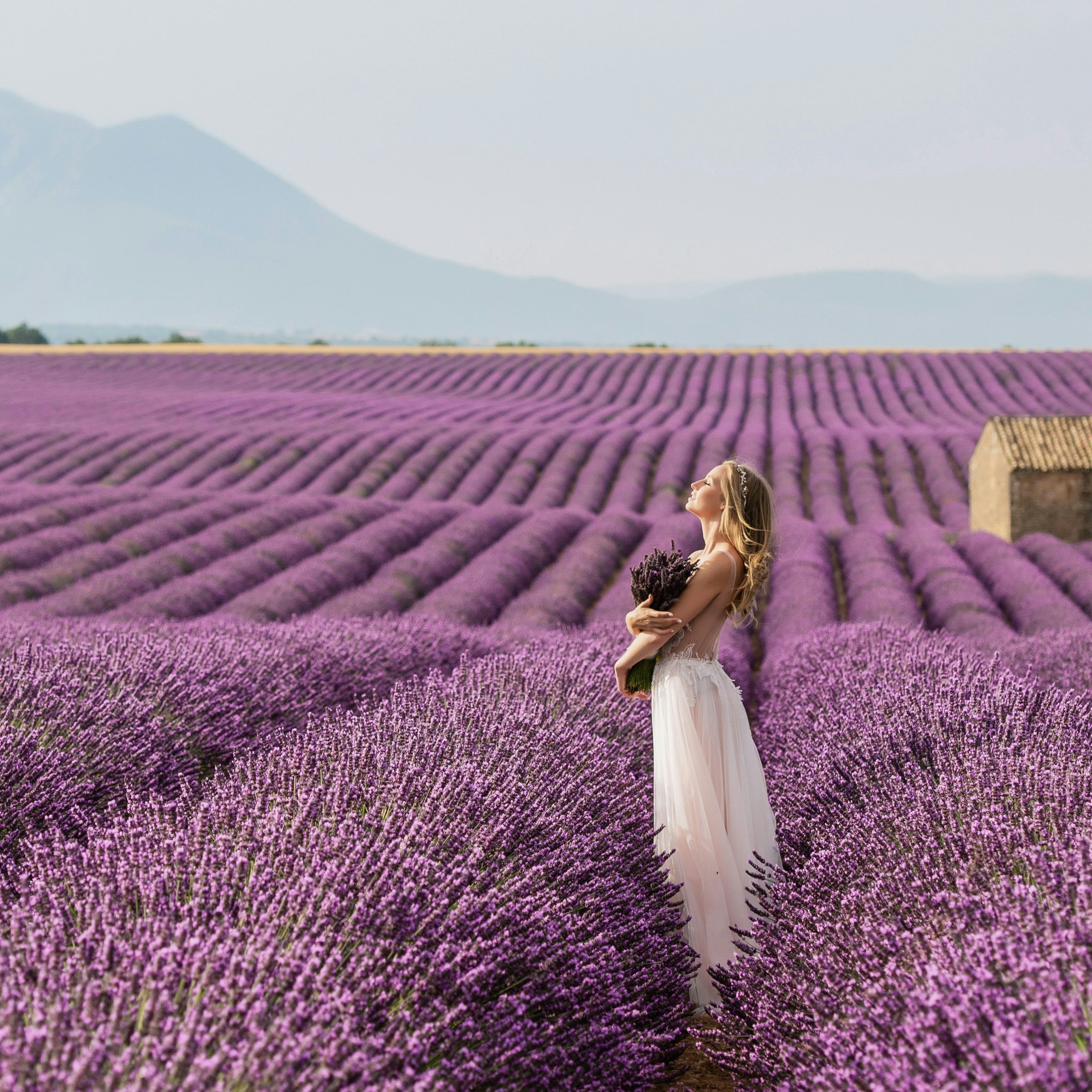 “Lavender Girl" αισθητική