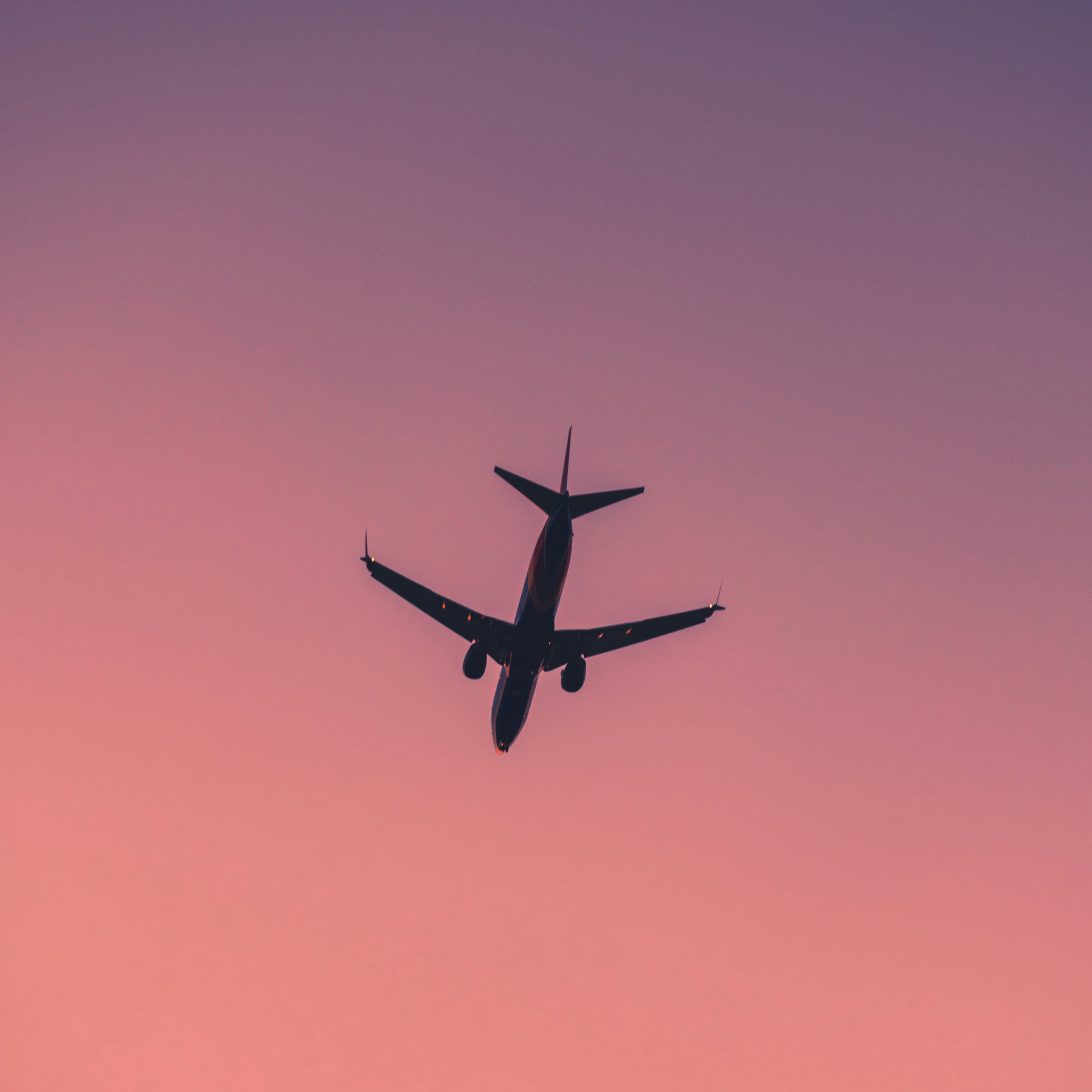 business travel