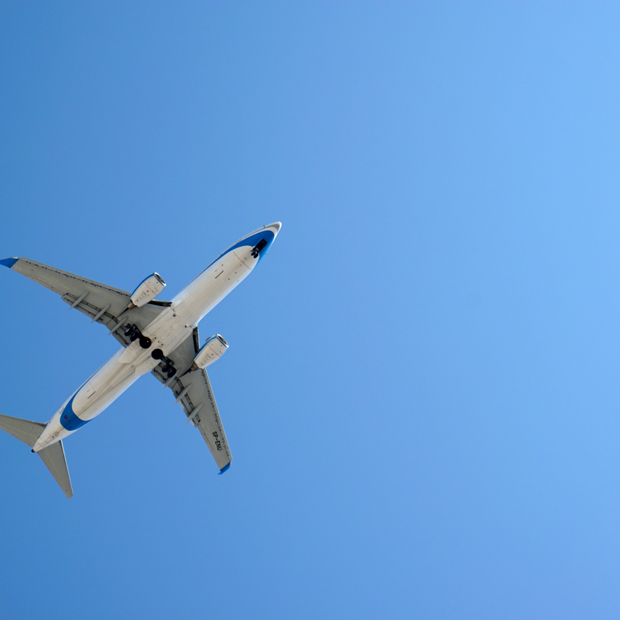 travel management