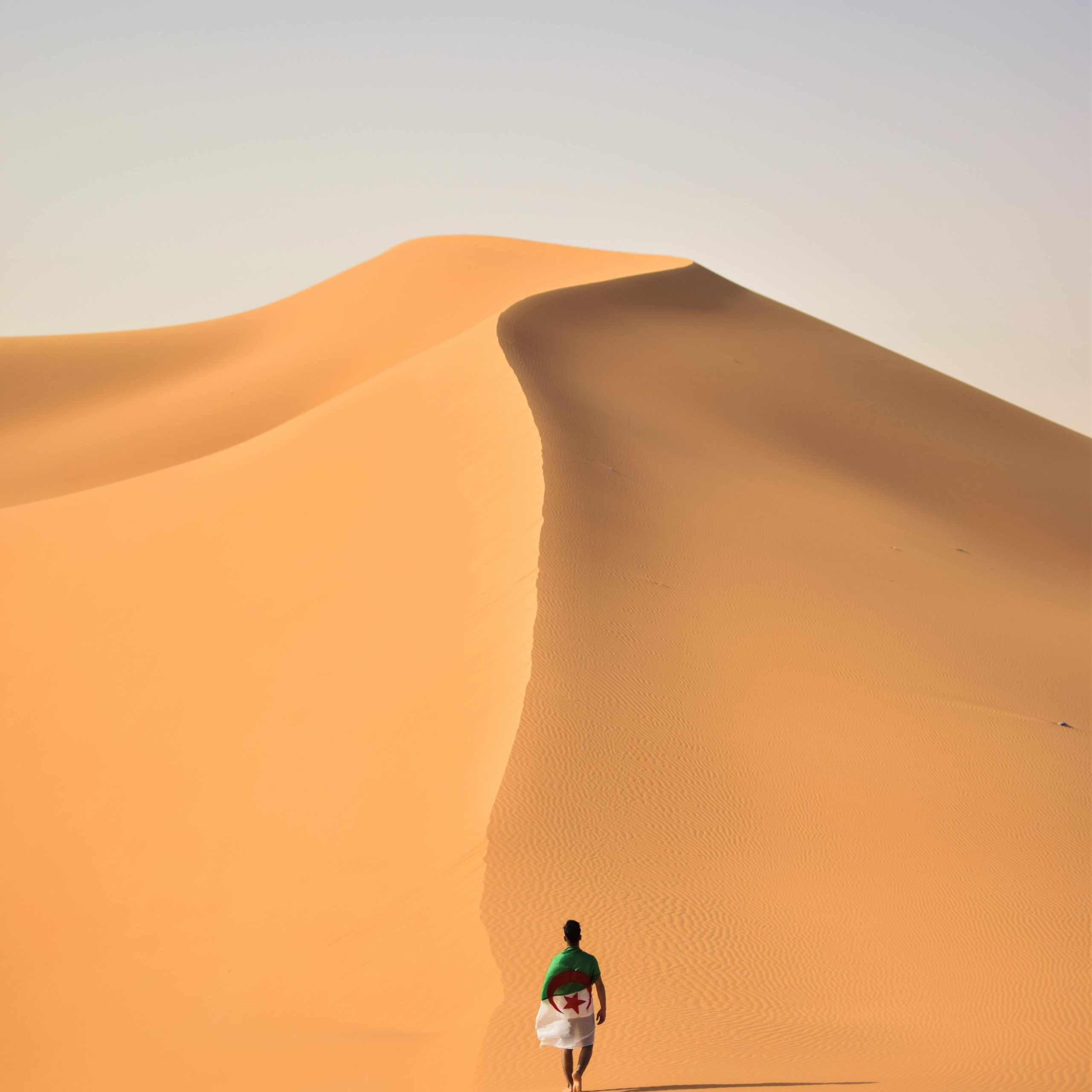 pexels-mohamedelaminemsiouri-2245436